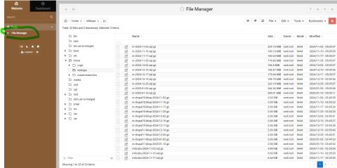 Step 4 - Click on File Manager